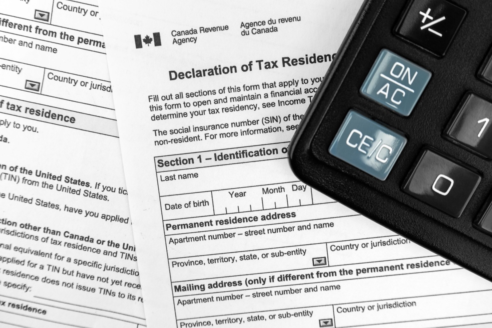 Canada Revenue Agency income tax forms and statements